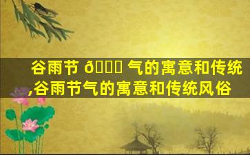谷雨节 🍁 气的寓意和传统,谷雨节气的寓意和传统风俗